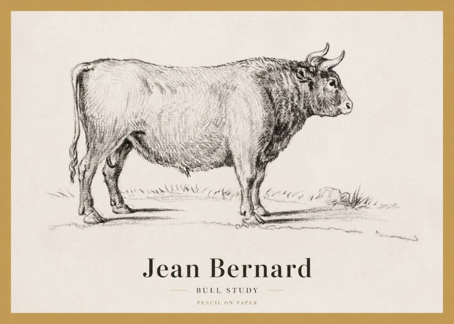 Jean Bernard Study of a Bull I No4 - Plakát
