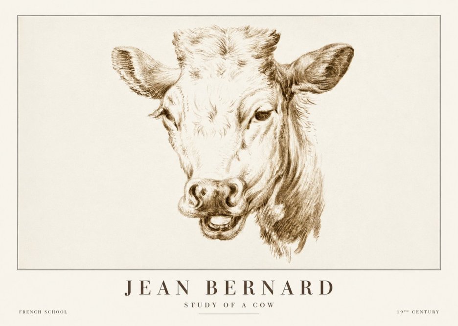 Jean Bernard Study of a Cow IV No2 - Plakát