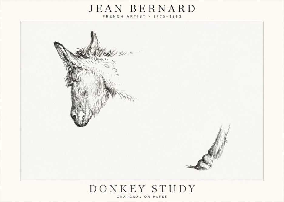 Jean Bernard Study of a Donkey II No2 - Plakát