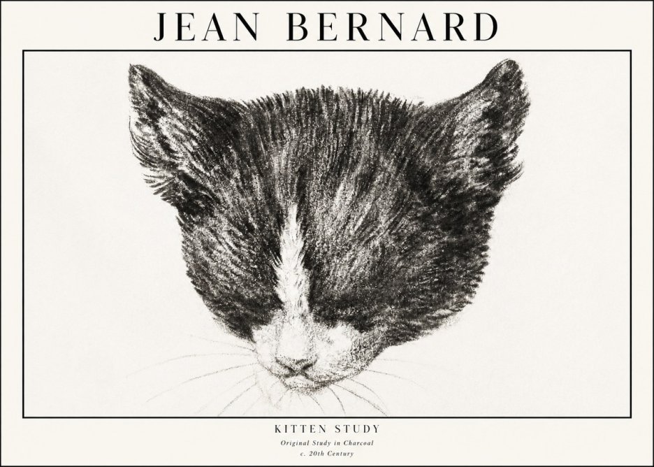 Jean Bernard Cat Study V No4 - Plakát