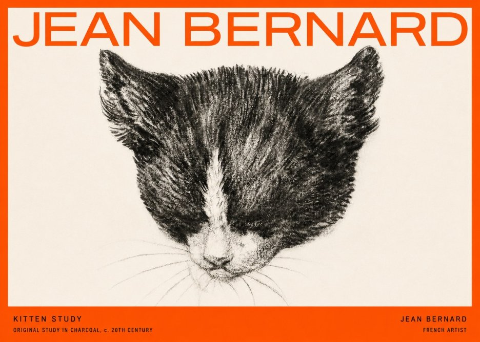 Jean Bernard Cat Study V No5 - Plakát