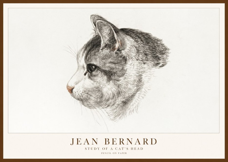 Jean Bernard Cat Study, Profile No2 - Plakát