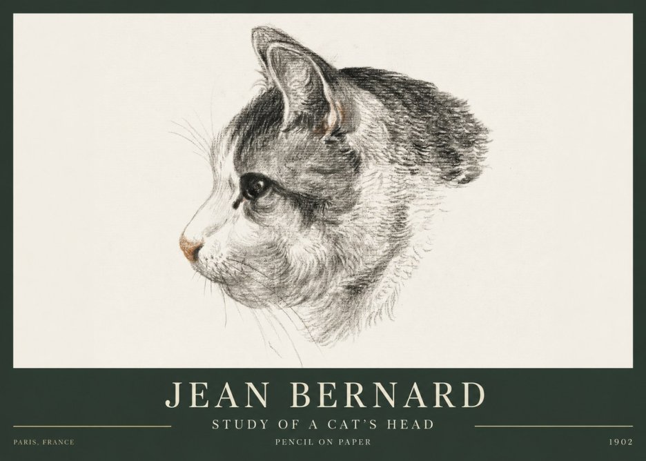 Jean Bernard Cat Study, Profile No4 - Plakát