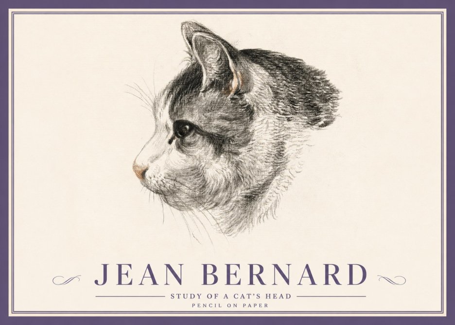 Jean Bernard Cat Study, Profile No5 - Plakát