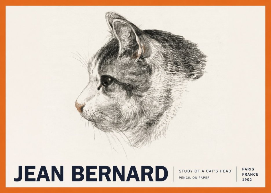 Jean Bernard Cat Study, Profile No6 - Plakát