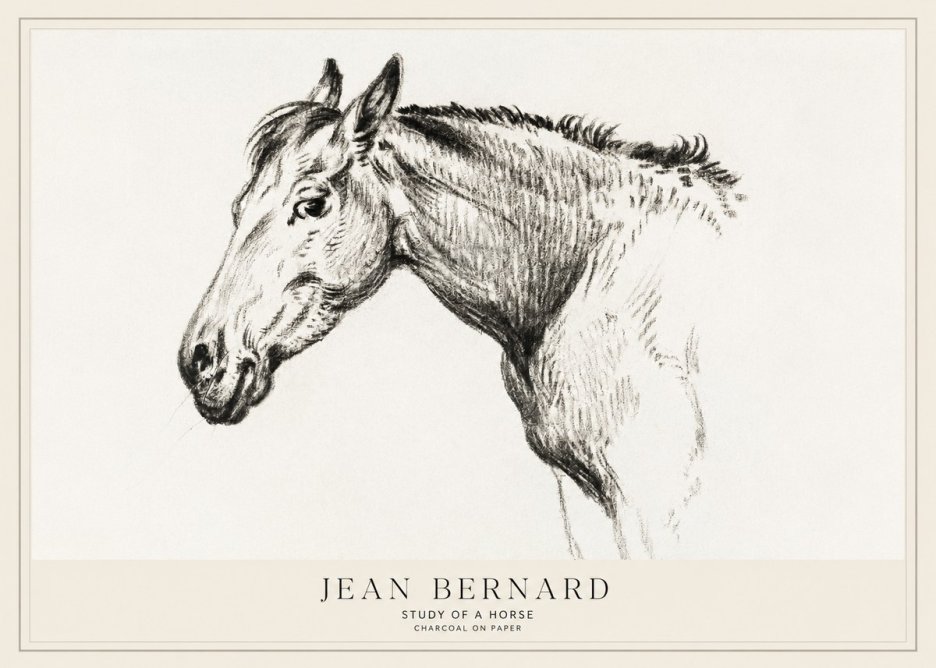 Jean Bernard Study of a Horse VI No1 - Plakát
