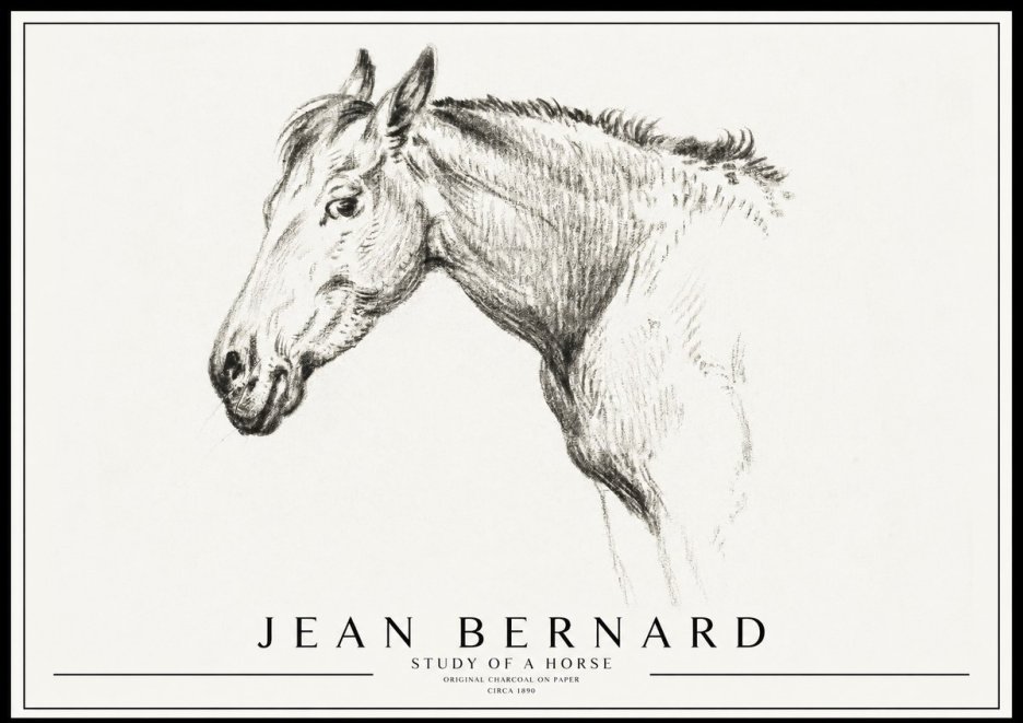 Jean Bernard Study of a Horse VI No3 - Plakát
