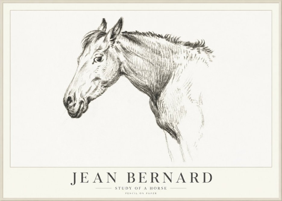 Jean Bernard Study of a Horse VI No4 - Plakát