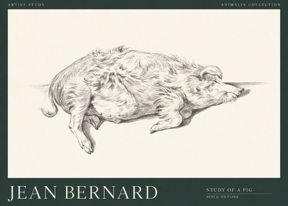 Jean Bernard Study of a Pig I No1 - Plakát