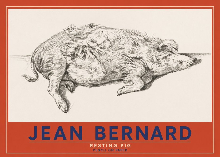 Jean Bernard Study of a Pig I No4 - Plakát