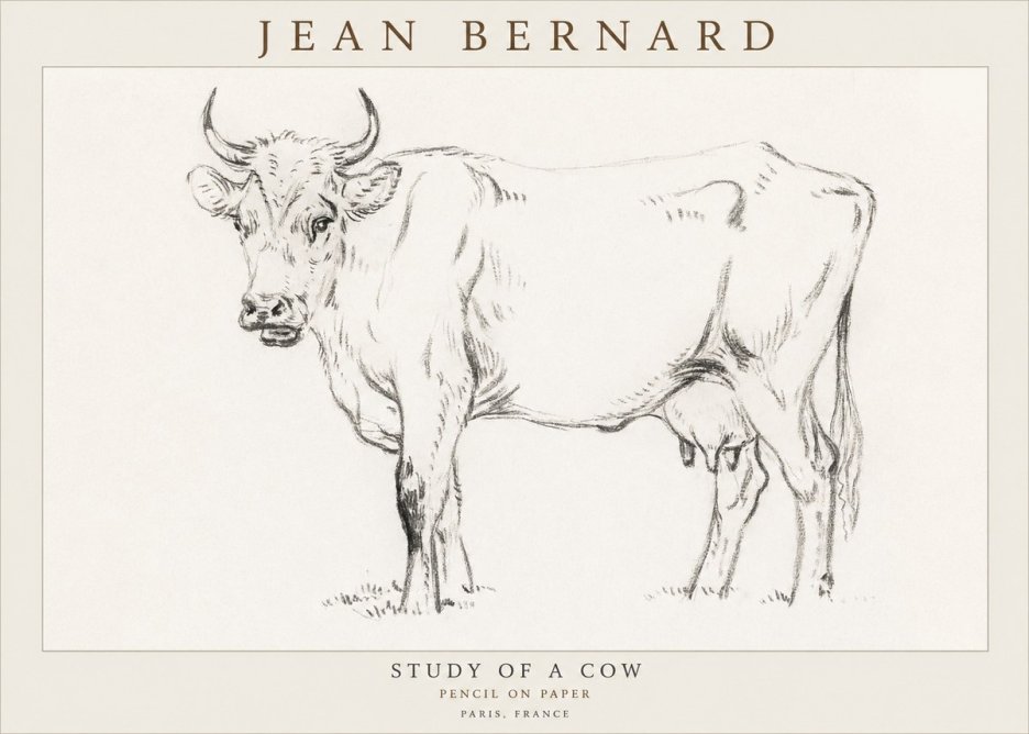 Jean Bernard Study of a Cow VI No3 - Plakát