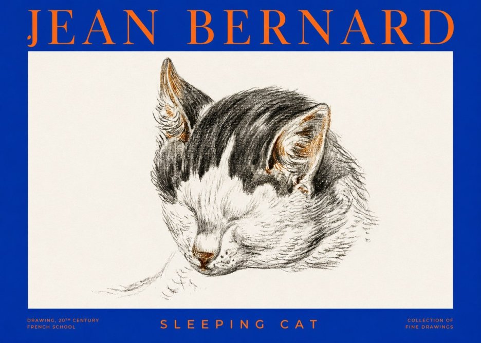 Jean Bernard Sleeping Cat V No2 - Plakát