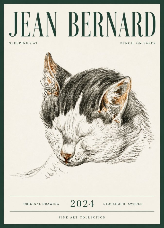 Jean Bernard Sleeping Cat V No6 - Plakát