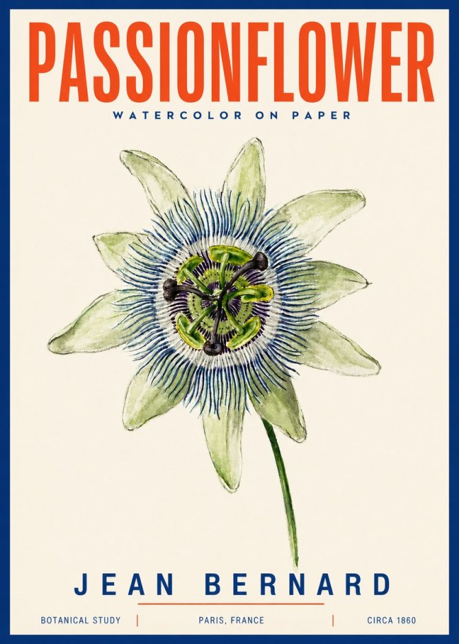 Jean Bernard Passionflower No4 - Plakát