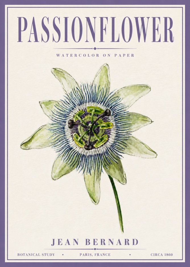 Jean Bernard Passionflower No6 - Plakát