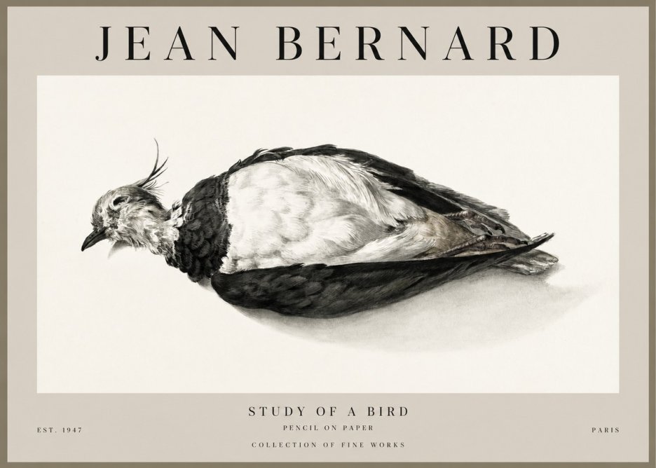 Jean Bernard Study of a Bird II No1 - Plakát