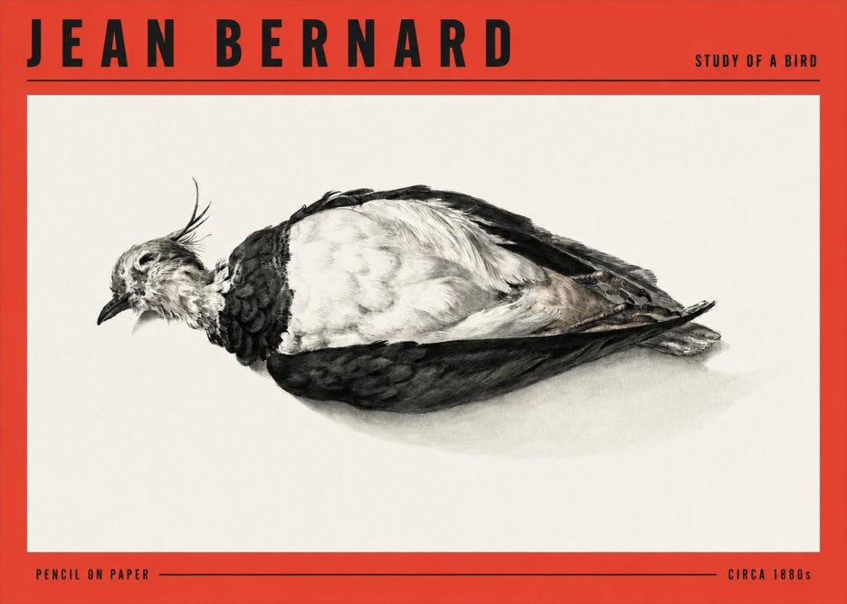 Jean Bernard Study of a Bird II No3 - Plakát