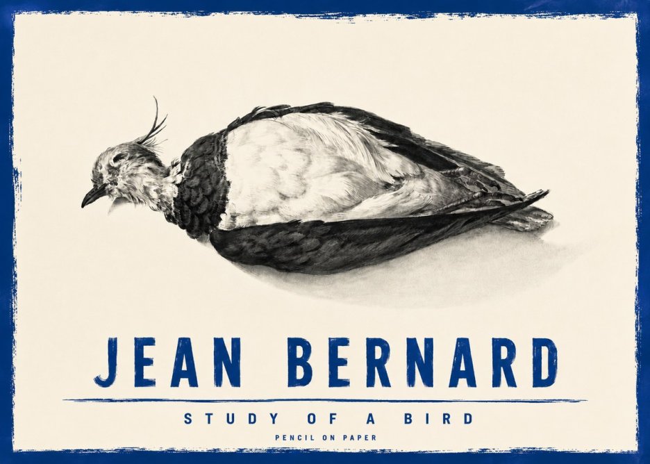 Jean Bernard Study of a Bird II No4 - Plakát