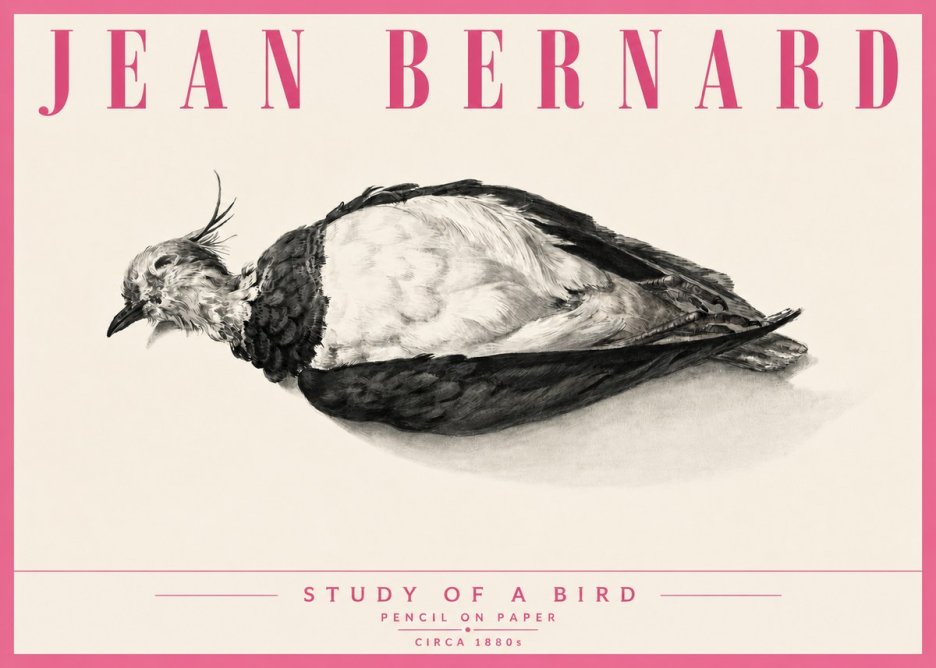 Jean Bernard Study of a Bird II No6 - Plakát
