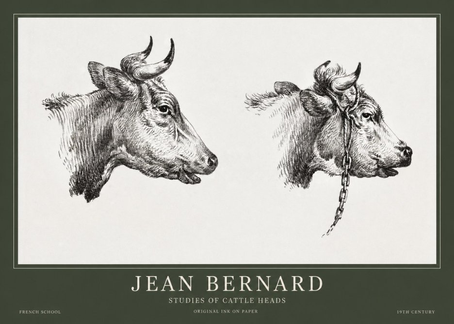 Jean Bernard Studies of Cattle Heads No1 - Plakát
