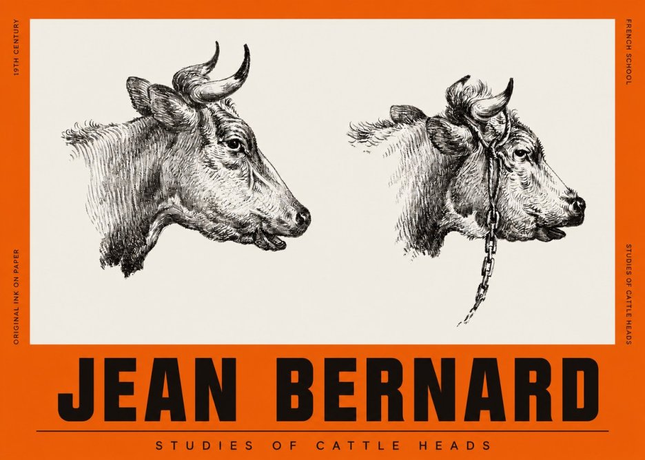 Jean Bernard Studies of Cattle Heads No2 - Plakát