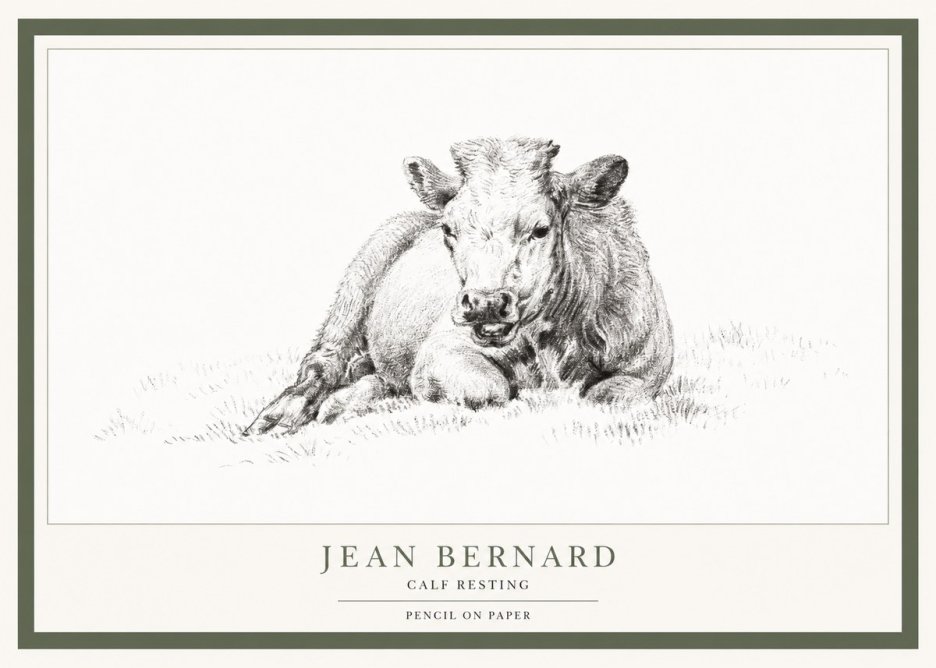 Jean Bernard Calf Resting No1 - Plakát