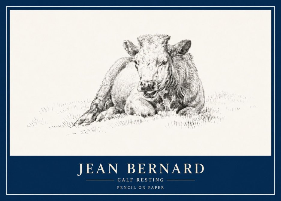 Jean Bernard Calf Resting No3 - Plakát