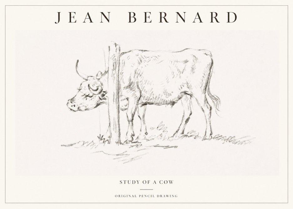 Jean Bernard Study of a Cow VII No1 - Plakát