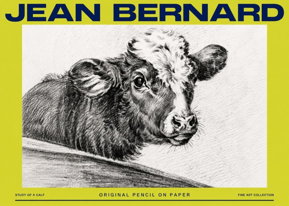 Jean Bernard Study of a Calf II No4 - Plakát