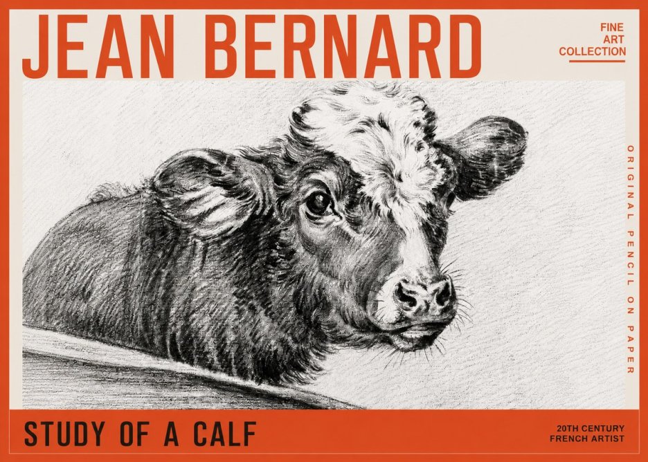 Jean Bernard Study of a Calf II No5 - Plakát
