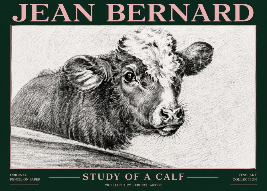 Jean Bernard Study of a Calf II No6 - Plakát