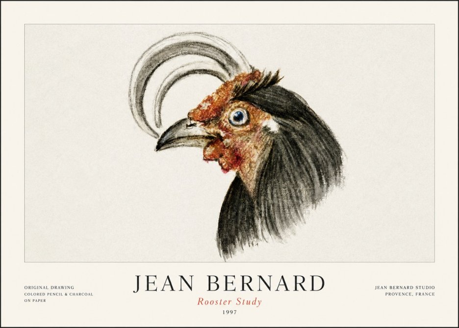 Jean Bernard Rooster Study No1 - Plakát