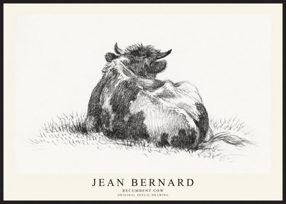 Jean Bernard Resting Highland Cow No3 - Plakát