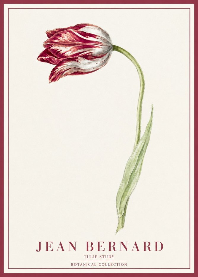 Jean Bernard Tulip Study No1 - Plakát