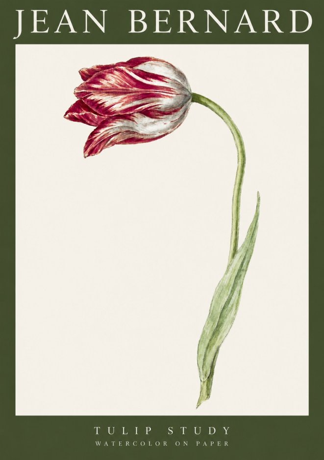 Jean Bernard Tulip Study No3 - Plakát