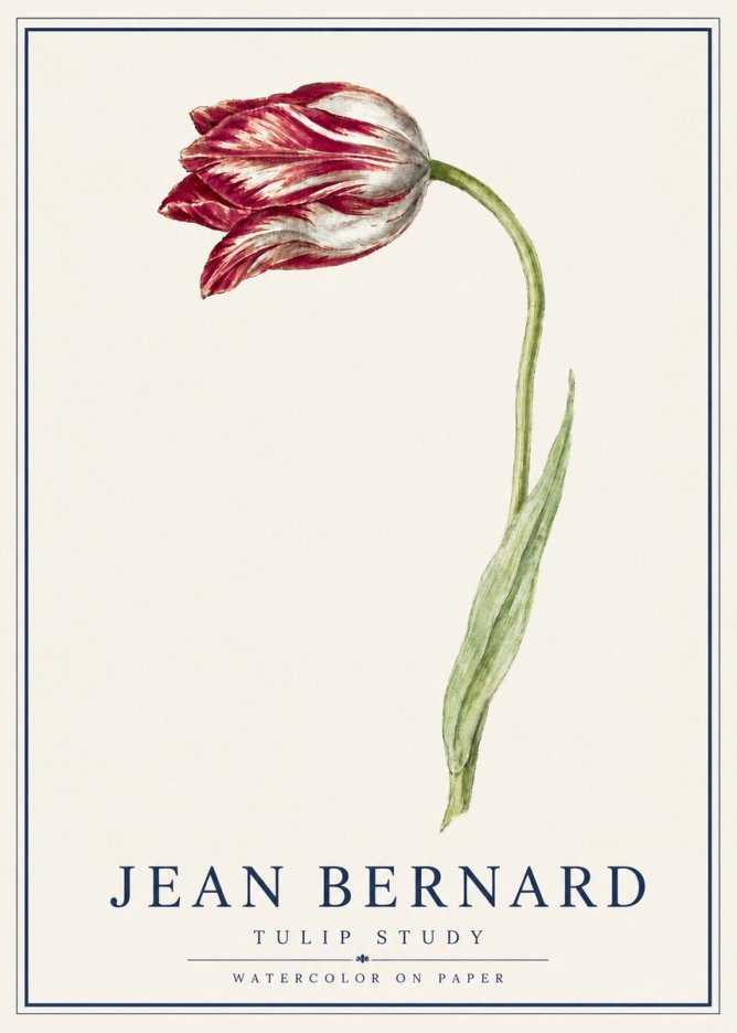 Jean Bernard Tulip Study No5 - Plakát