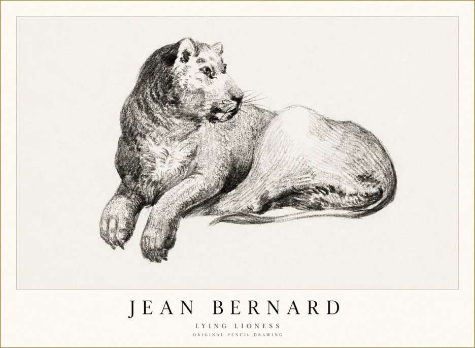 Jean Bernard Lying Lioness No1 - Plakát