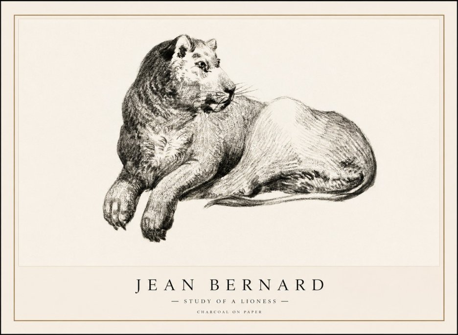 Jean Bernard Lying Lioness No2 - Plakát