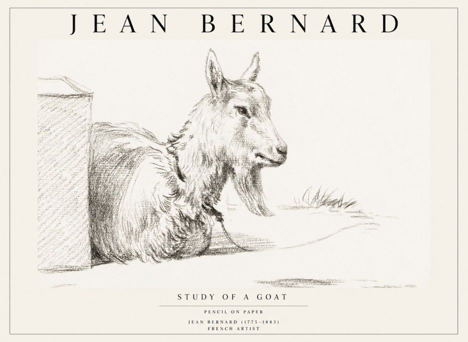 Jean Bernard Study of a Goat IV No1 - Plakát