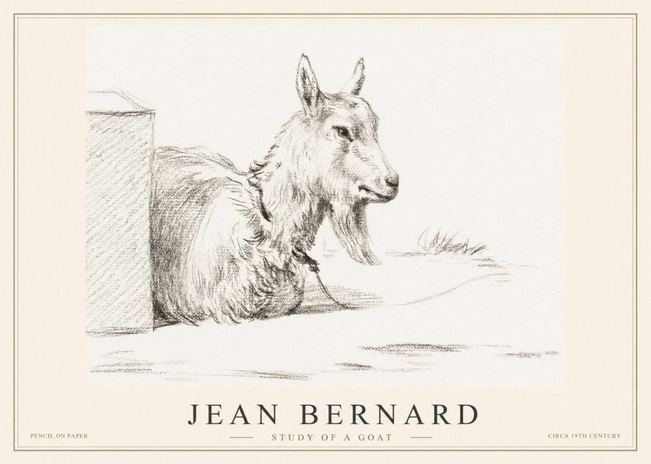 Jean Bernard Study of a Goat IV No2 - Plakát