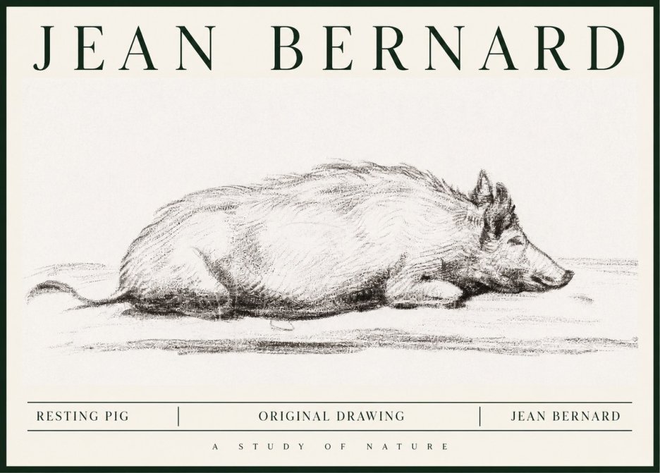 Jean Bernard Resting Pig I No1 - Plakát