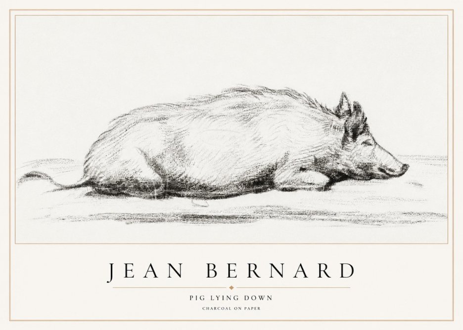 Jean Bernard Resting Pig I No2 - Plakát