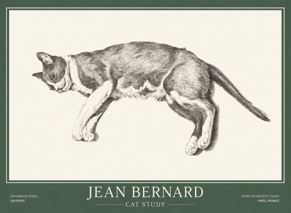 Jean Bernard Cat Study VII No1 - Plakát