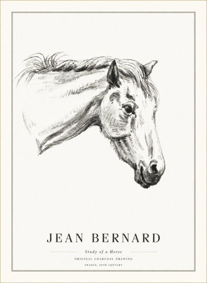 Jean Bernard Study of a Horse VIII No5 - Plakát