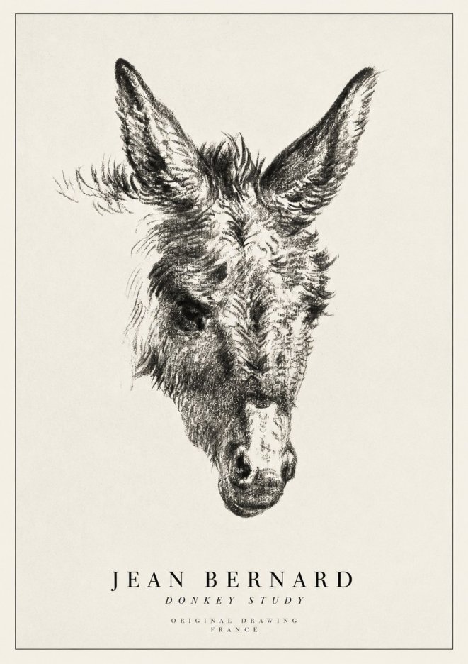 Jean Bernard Donkey Study IV No1 - Plakát