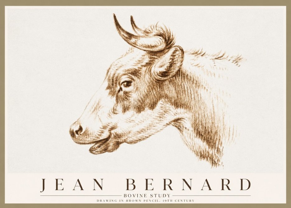Jean Bernard Bovine Study II No1 - Plakát