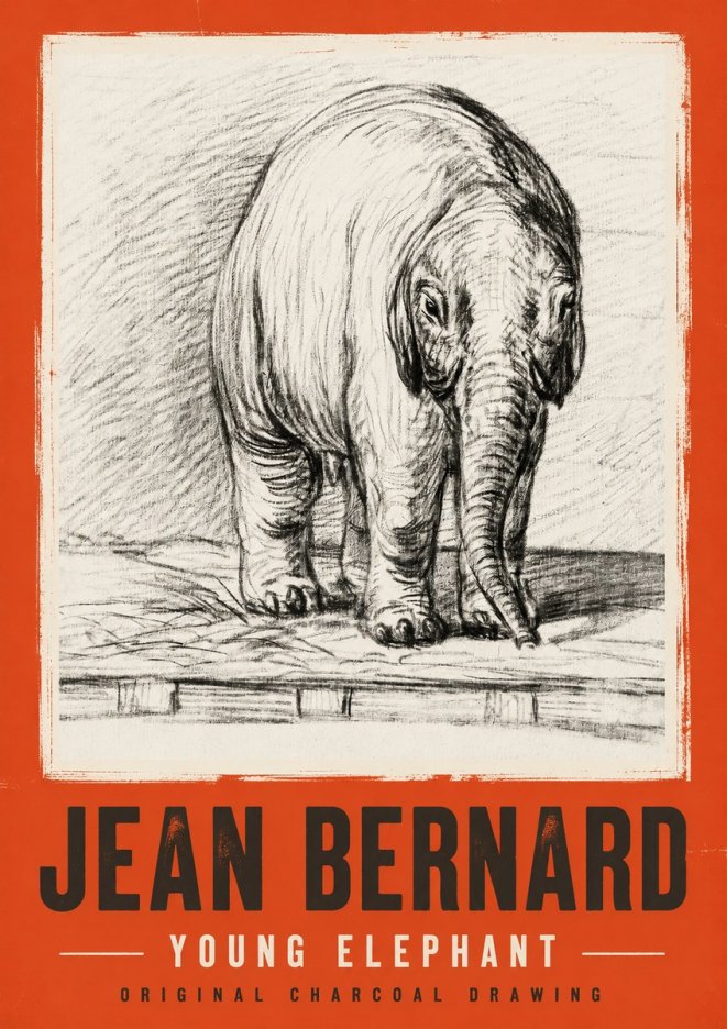 Jean Bernard Young Elephant No2 - Plakát