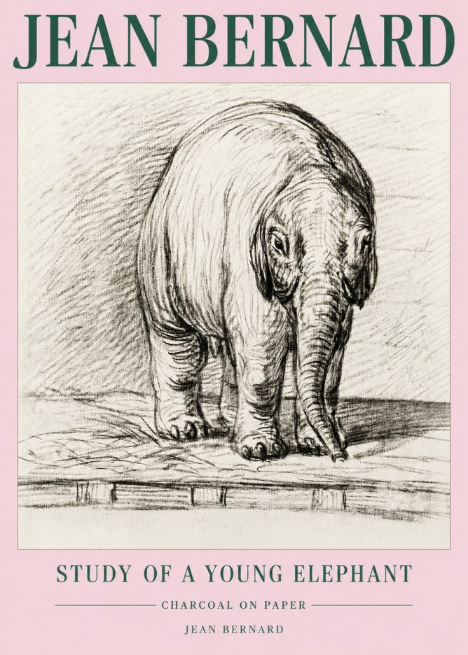 Jean Bernard Young Elephant No5 - Plakát