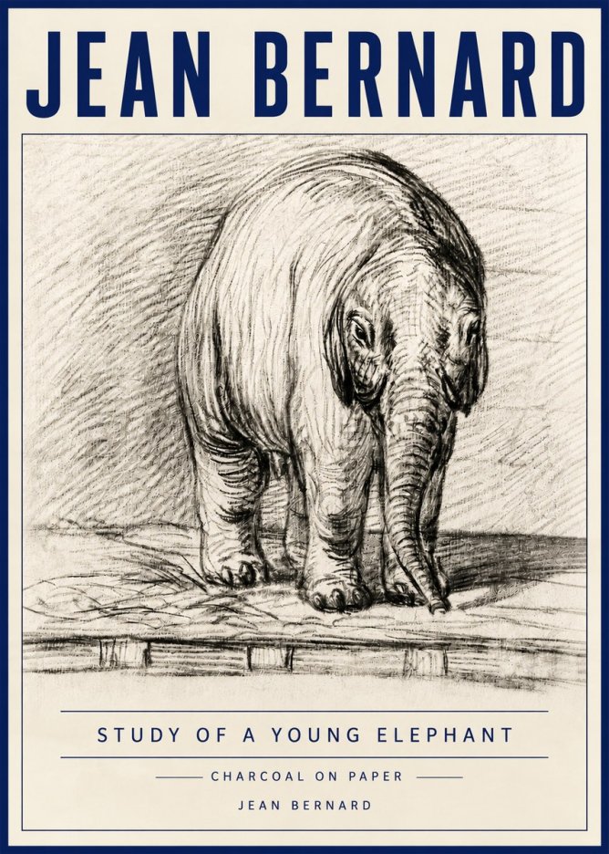 Jean Bernard Young Elephant No6 - Plakát