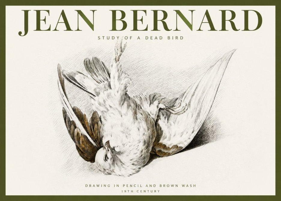 Jean Bernard Study of a Dead Bird No2 - Plakát